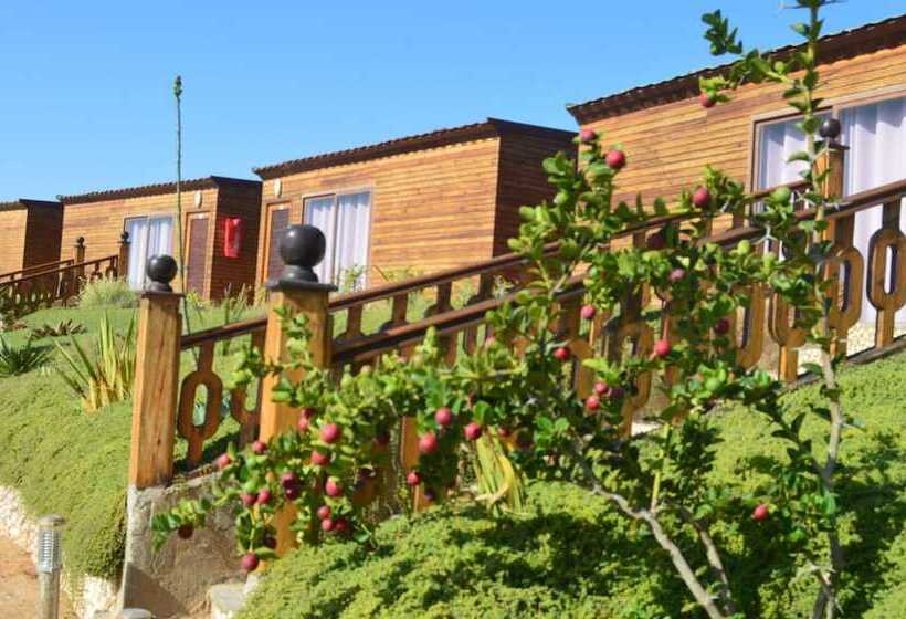 فندق Dakhla Kitesurf World