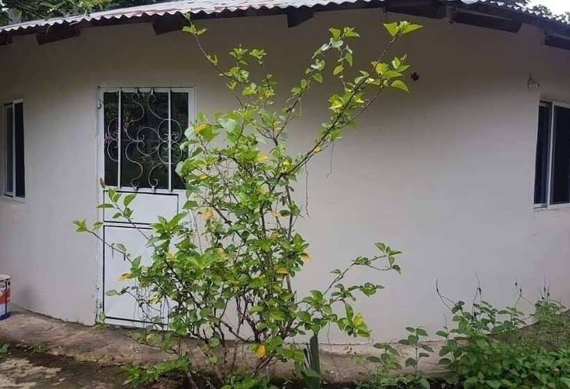 هتل Dalaba Eco Lodge