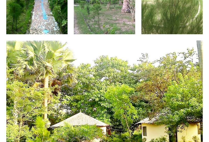 هتل Dalaba Eco Lodge