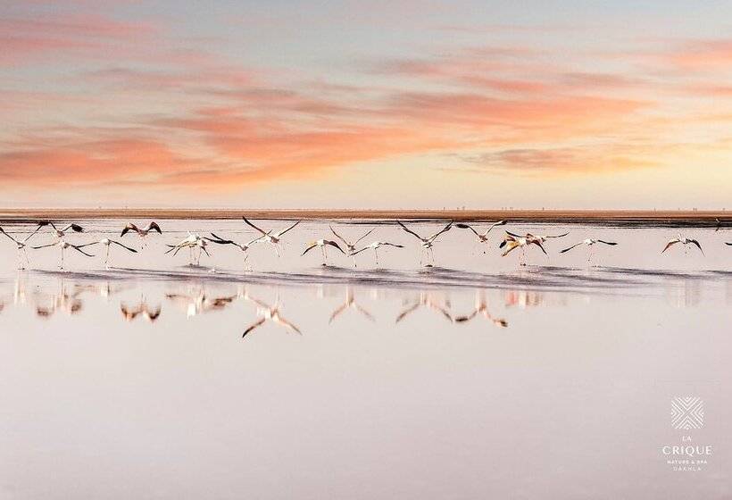 酒店 La Crique Nature & Spa