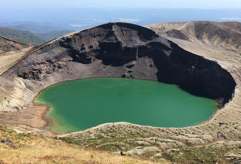 호텔 Lodge Christmas Rose Zao