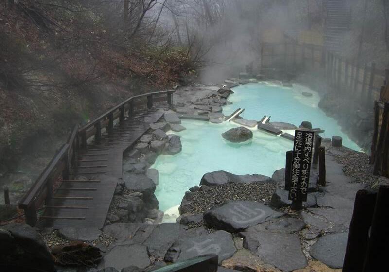 호텔 Lodge Christmas Rose Zao