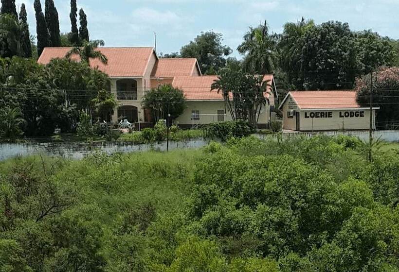 فندق Loerie Lodge Guest Houses