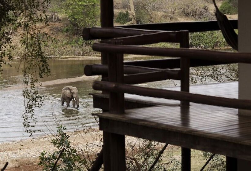 בית מלון כפרי Nyati Safari Lodge