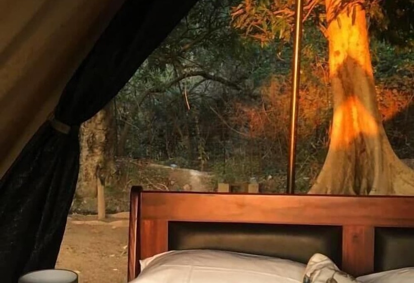 酒店 Senate Boutique Camp   Campsite