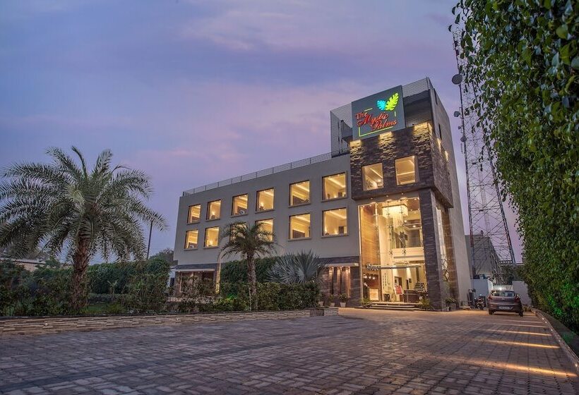 בית מלון כפרי The Mystic Palms