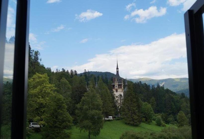 Отель Vila Economat