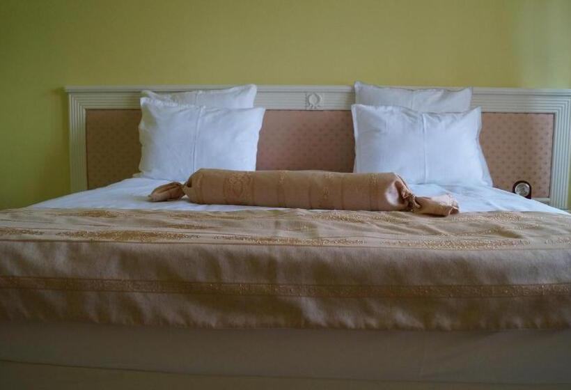 Отель Vila Economat