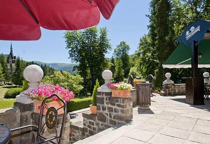 Отель Vila Economat