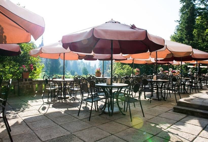 Отель Vila Economat