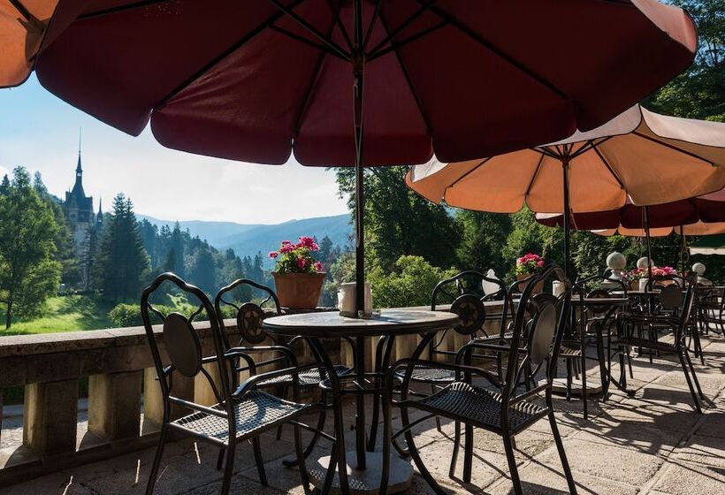 Отель Vila Economat