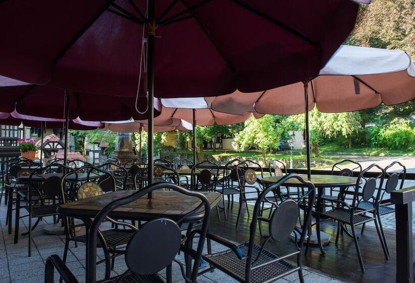 Отель Vila Economat