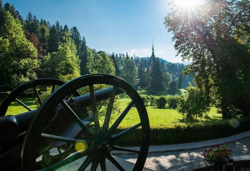 Отель Vila Economat