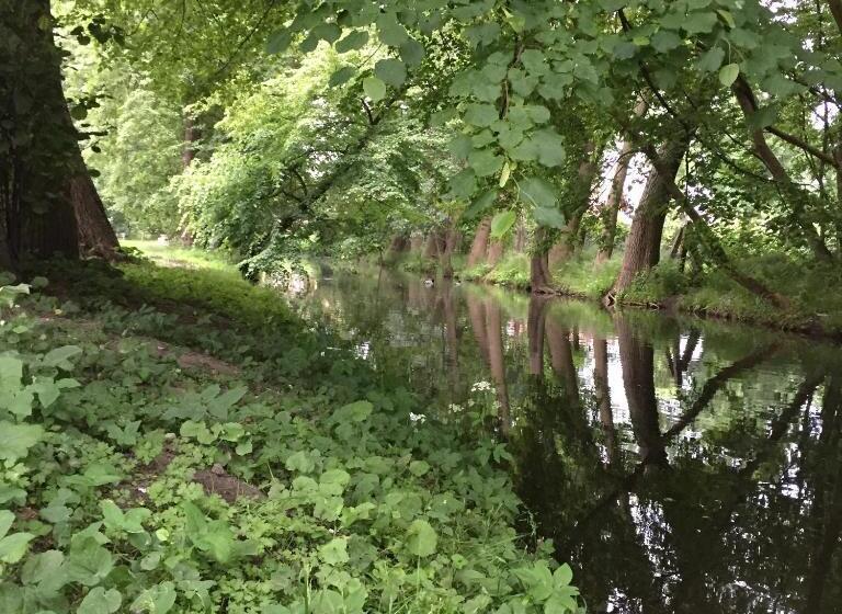 酒店 Willa Starosty