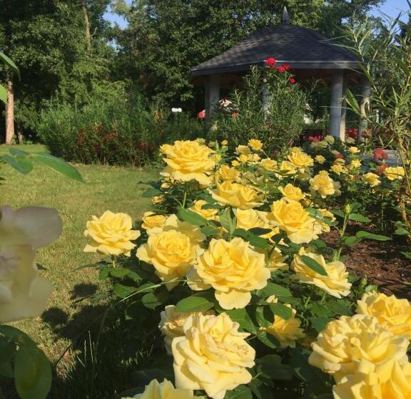 酒店 Willa Starosty