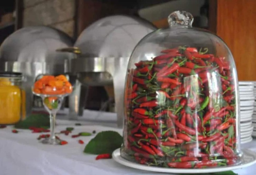 فندق Willows Boutique