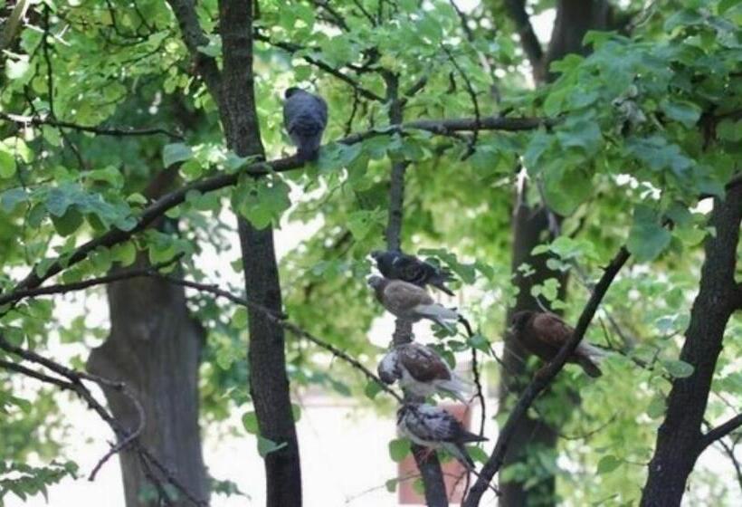 펜션 Central Square Guest House