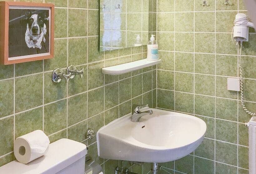 بنسيون Harz Hotel Und Gästehaus Am Bornweg