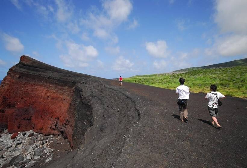 膳宿费 Snapper Inn