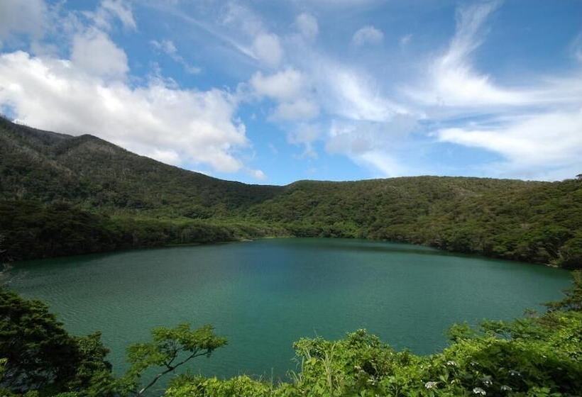 Пансион Snapper Inn