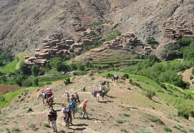 پانسیون Mohatirste