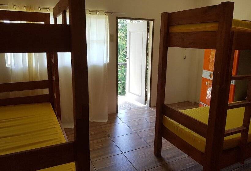 پانسیون Sha S Amour Dormitel