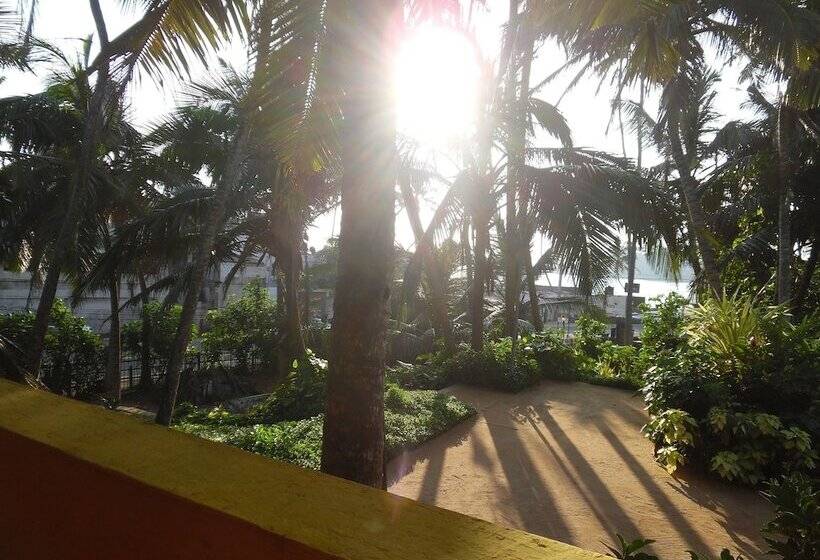 ベッドアンドブレックファースト Allan Guest House