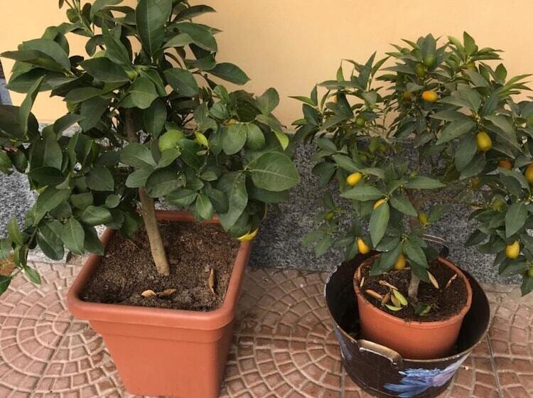 فندق فئة نجمة واحدة Duca Di Tromello