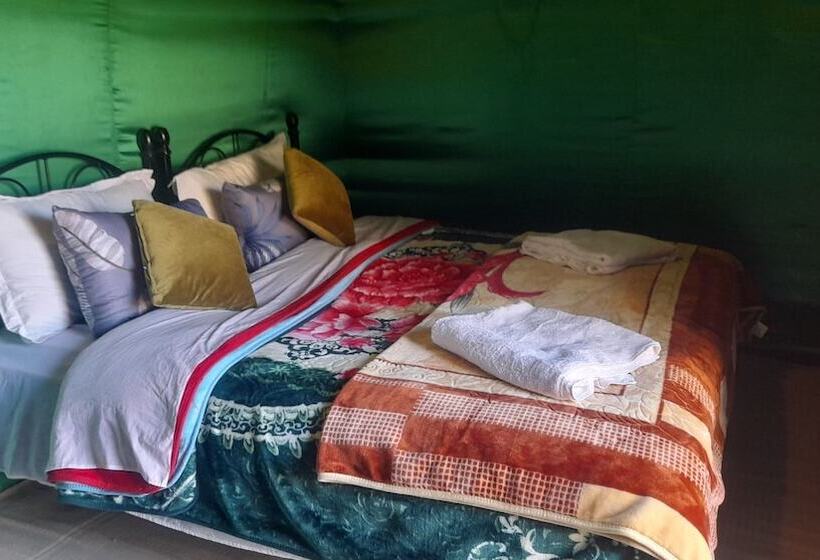 هتل Bivouac Erg Znaigui