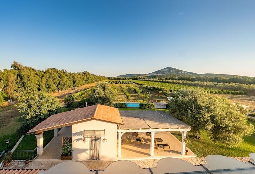 교외 호텔 Agriturismo Casale Degli Ulivi Alghero