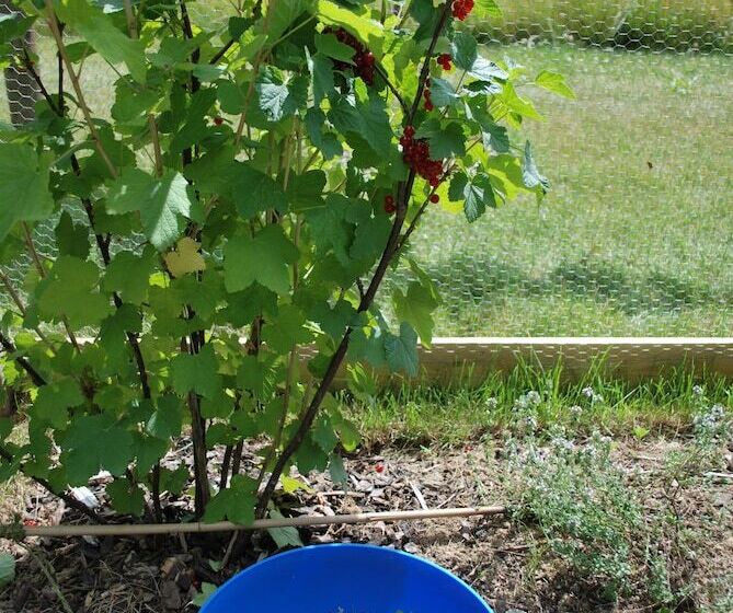 פנסיון Dimensions M