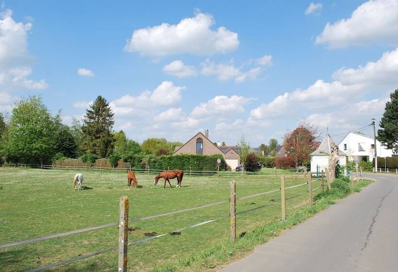 פנסיון Dimensions M