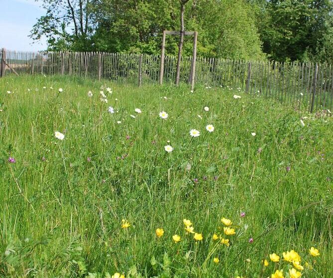 פנסיון Dimensions M