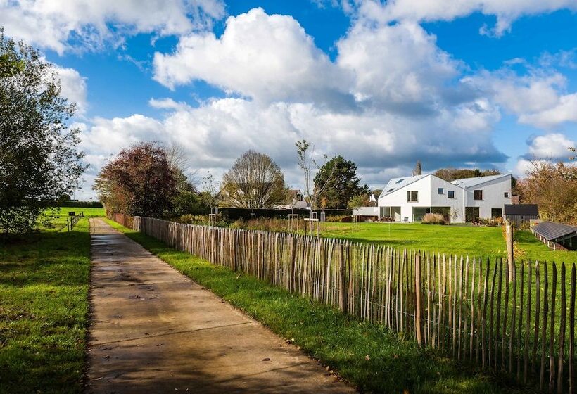 פנסיון Dimensions M