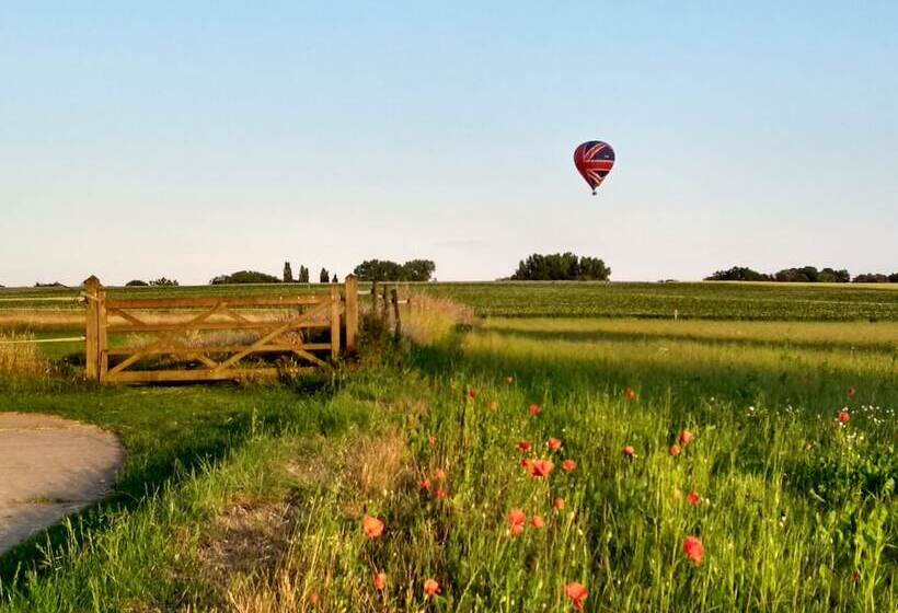 פנסיון Dimensions M