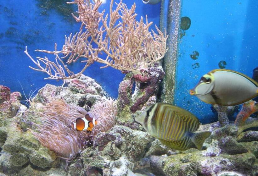 پانسیون Fisherman's House