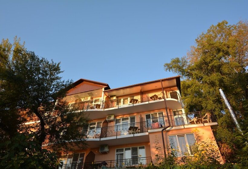 פנסיון Guest House Irina