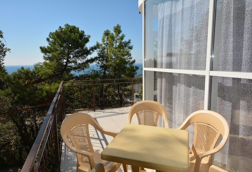 פנסיון Guest House Irina