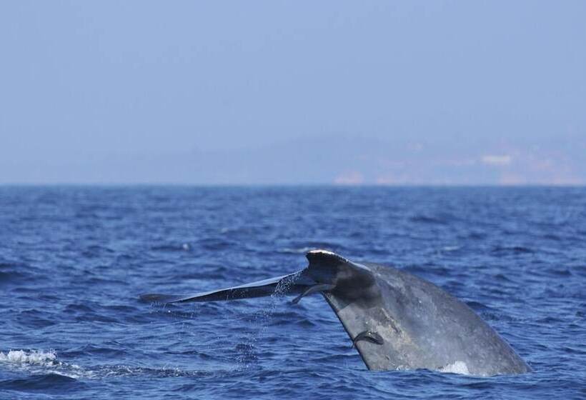 بنسيون Wonderland Mirissa Lucky Guest Home