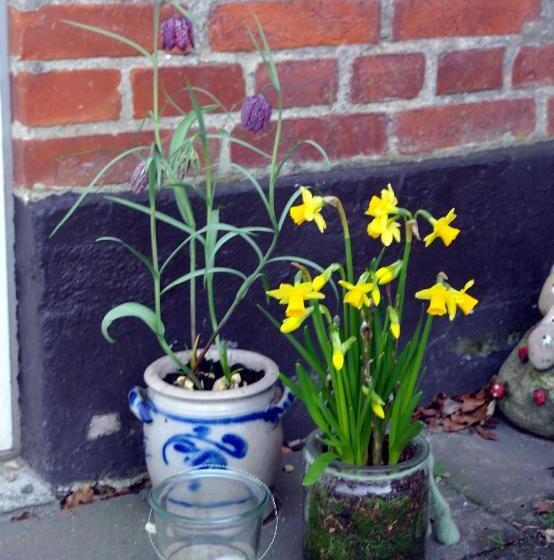 Agervig Bed & Breakfast