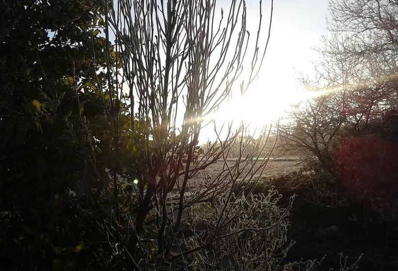 Agervig Bed & Breakfast