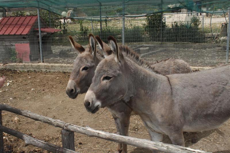 Agriturismo Fattoria Spezia
