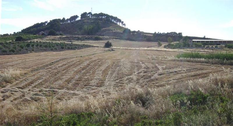 Agriturismo Fattoria Spezia