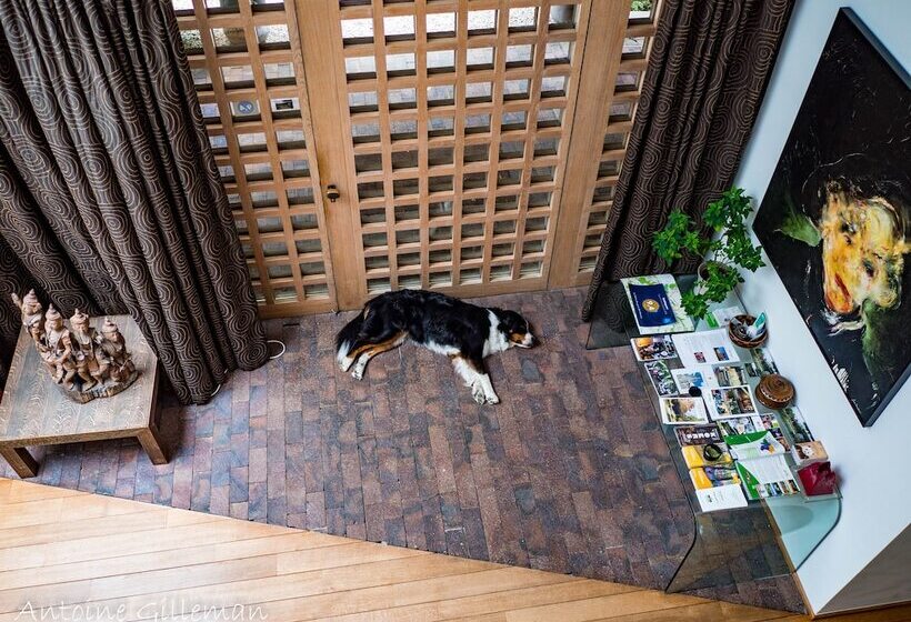 Bed and Breakfast La Petite Bruyere De Renaix