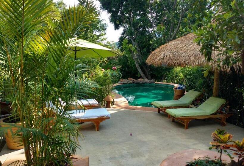 Casa D'lobo Hotel Boutique