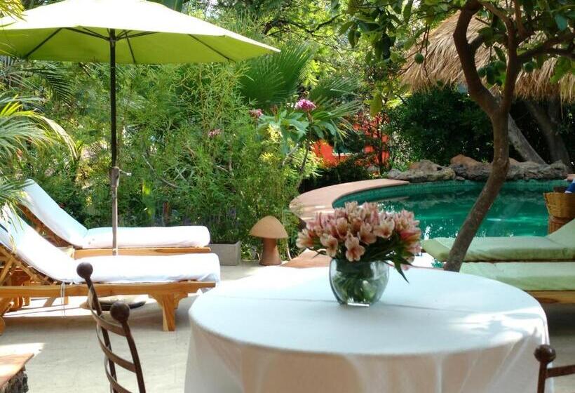 Casa D'lobo Hotel Boutique