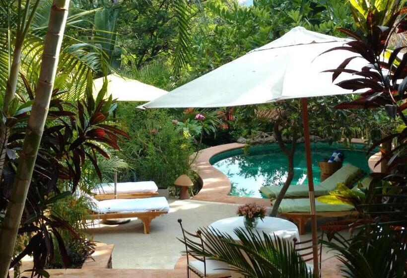 Casa D'lobo Hotel Boutique