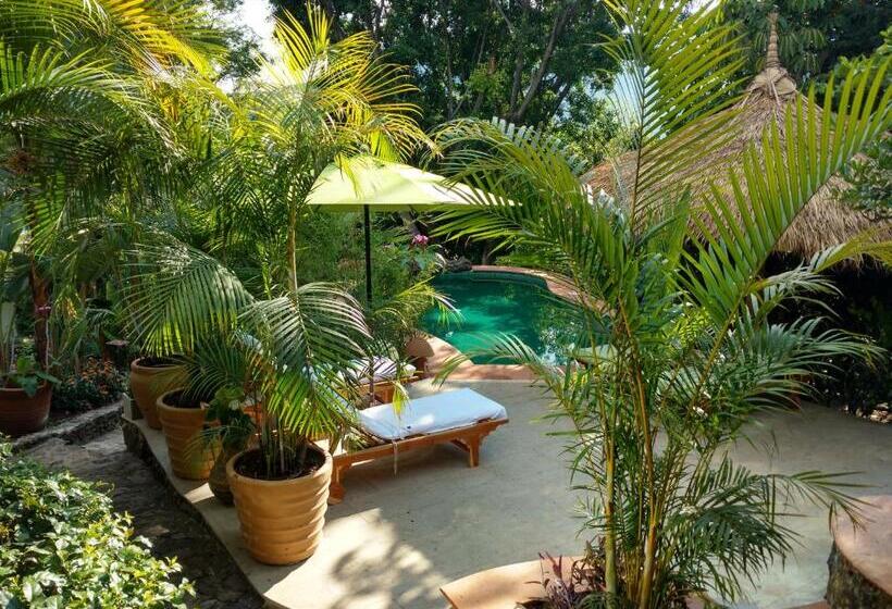 Casa D'lobo Hotel Boutique