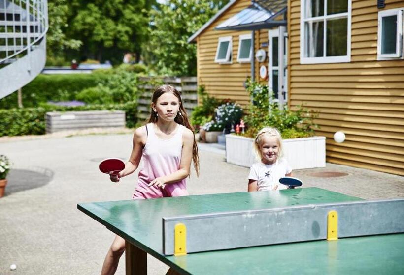 酒店 Danhostel Silkeborg