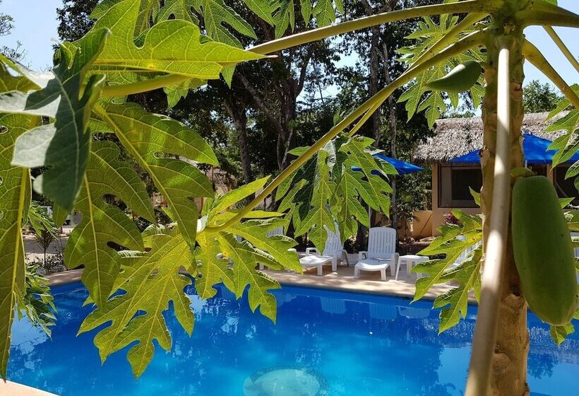 هتل Maya Eco Village